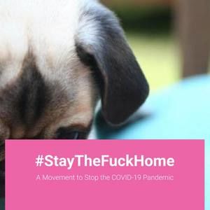 Meet your Posher, Jo-ann